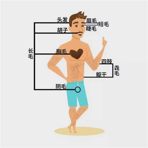 手臂長一根長毛|身上有一根毛特别长，是长寿象征，还是癌变前兆？